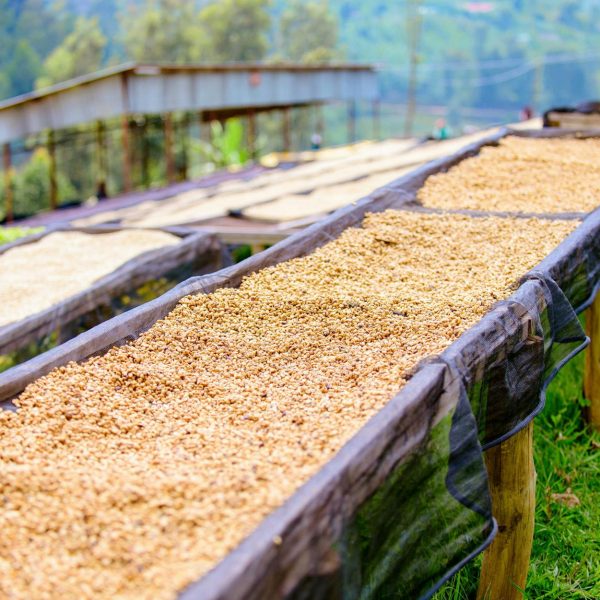 Single-Origin Colombia 250g